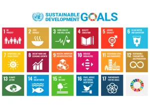 Master’s Students Engage in Insightful Activity about SDGs